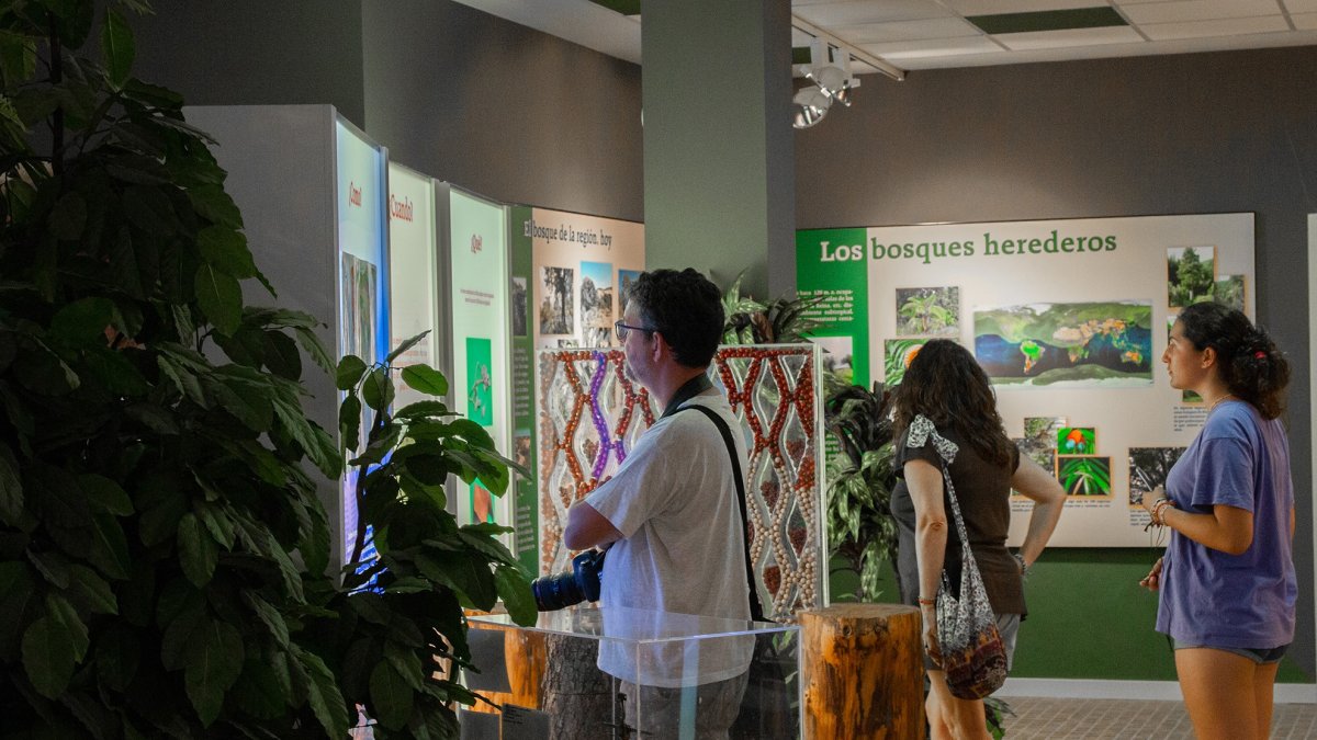 Visita en el museo del árbol fosil en Hacinas
