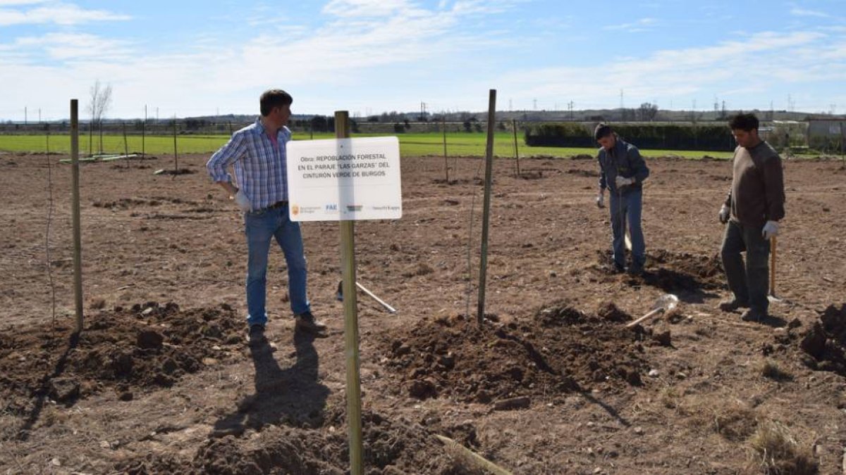 En la actividad se plantaron 121 árboles de especies frondosas.-ECB