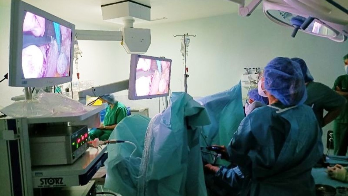 El Hospital de Miranda, pionero en un tipo de cirugía ginecológica poco invasiva.