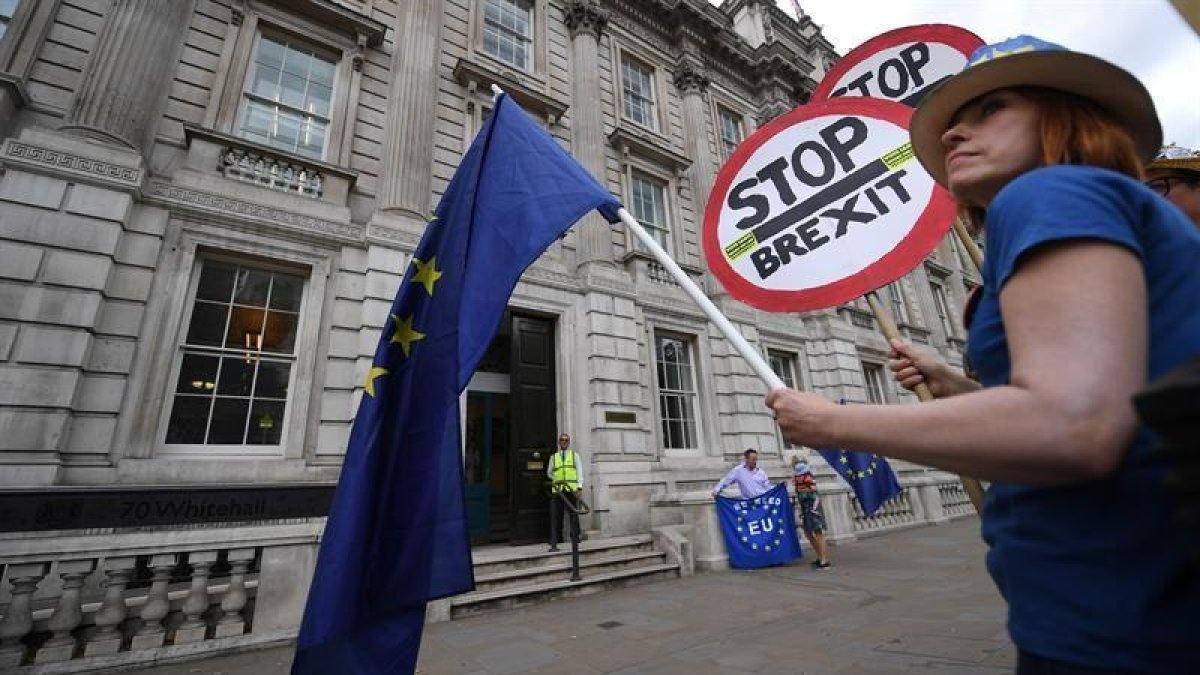 Una mujer protesta contra el 'brexit'.-EFE