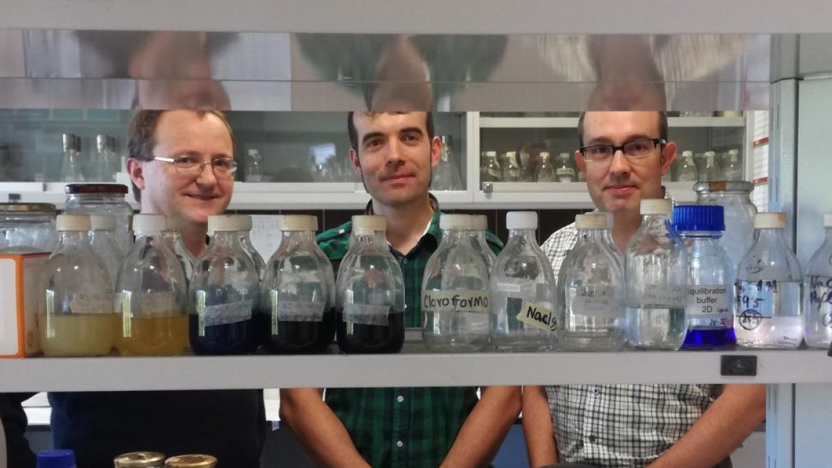 Alberto Sola, Carlos Barreiro y Antonio Rodríguez, investigadores implicados en el proyecto, en las instalaciones del Instituto de Biotecnología de León.-EL MUNDO