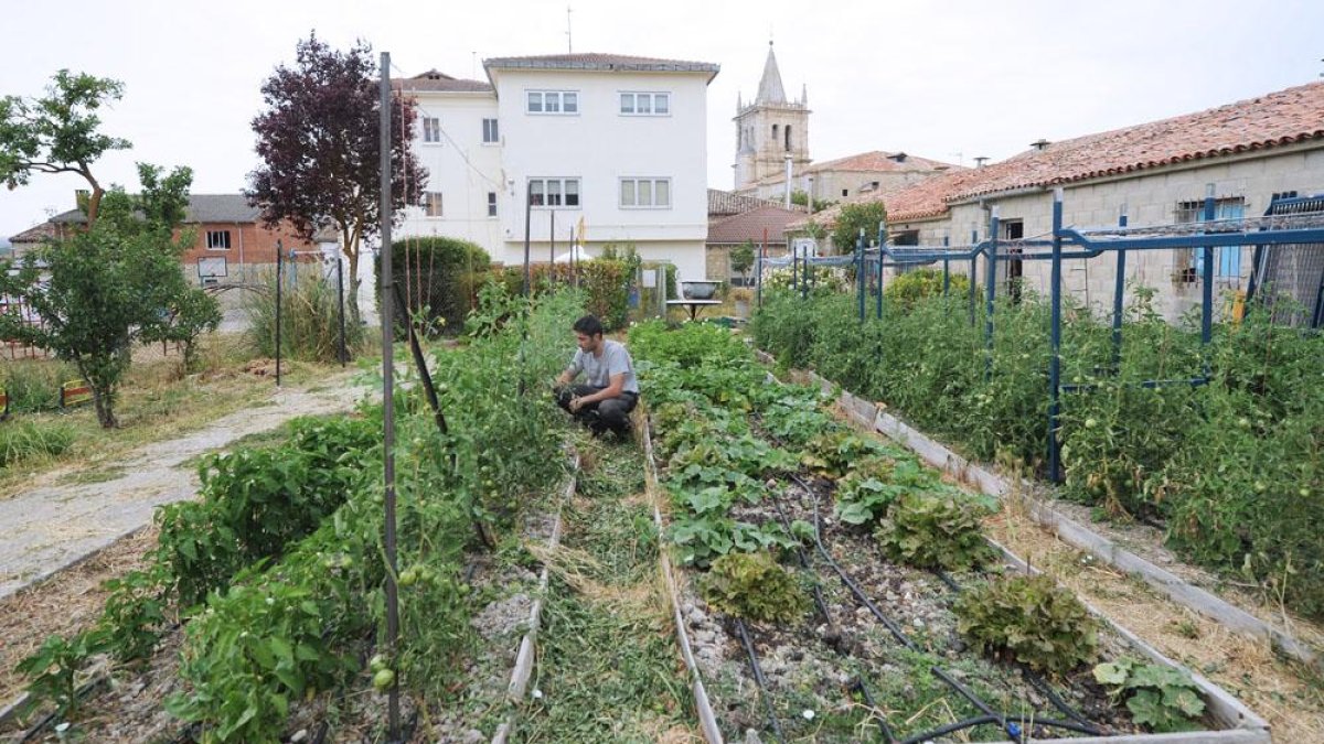 La asociación cuenta con un huerto ecológico en Santibáñez Zarzaguda.-ISRAEL L. MURILLO
