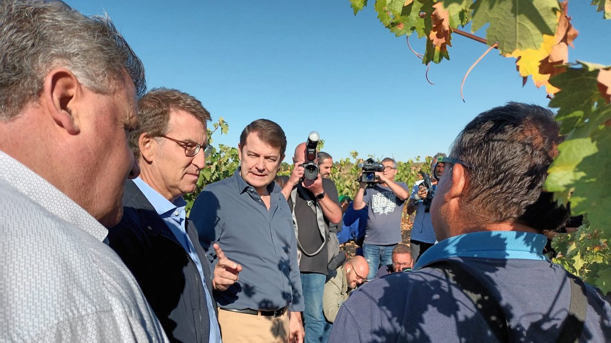 Feijoo durante su visita a Roa