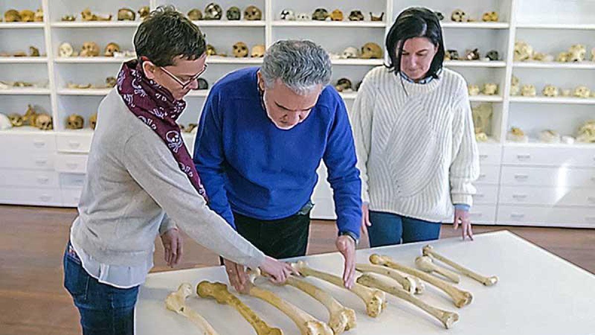 LauraRodríguez, José MiguelCarretero y Rebeca García-González.-ECB
