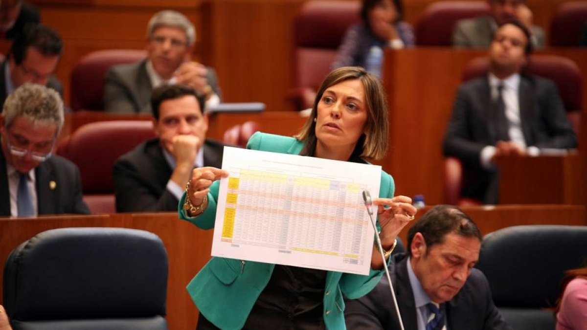 La consejera de Familia e Igualdad de Oportunidades, Milagros Marcos, durante el Pleno de las Cortes de Castilla y León-Ical