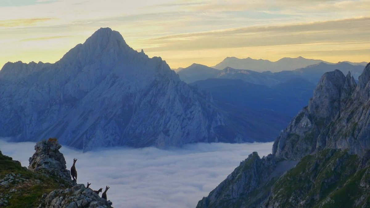 Vista del Parque Nacional de los Picos de Europa / N.S.