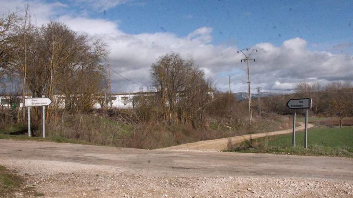 La finca tiene una superficie de casi 290 hectáreas ubicadas entre los pueblos de Llanos de Bureba y Los Barrios.-G. G.