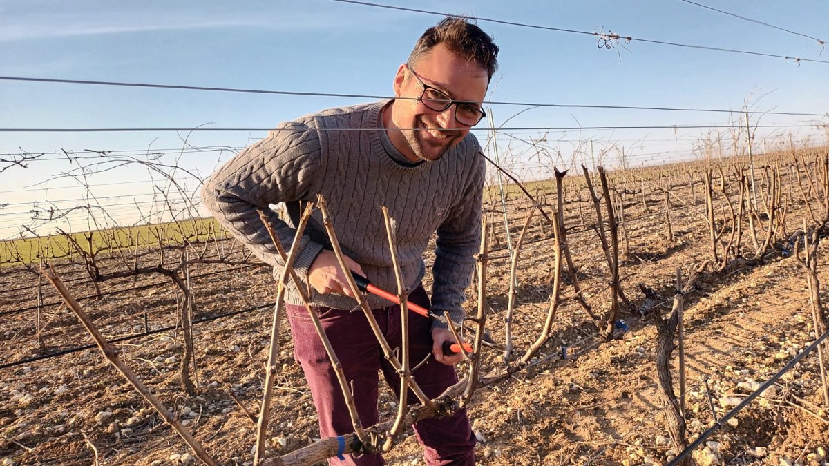 Antonio de la Fuente es enólogo de la Asociación de Enólogos de la Ribera del Duero (Enoduero)