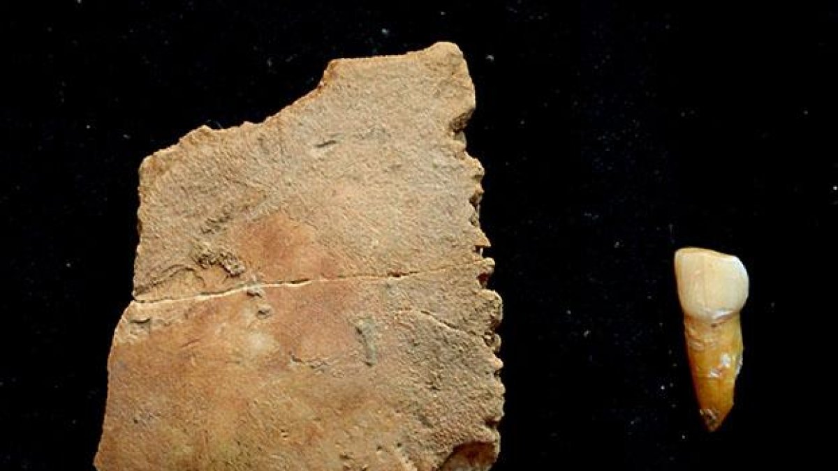 Parte del parietal y del diente encontrados en el yacimiento.-FLORENT RIVALS