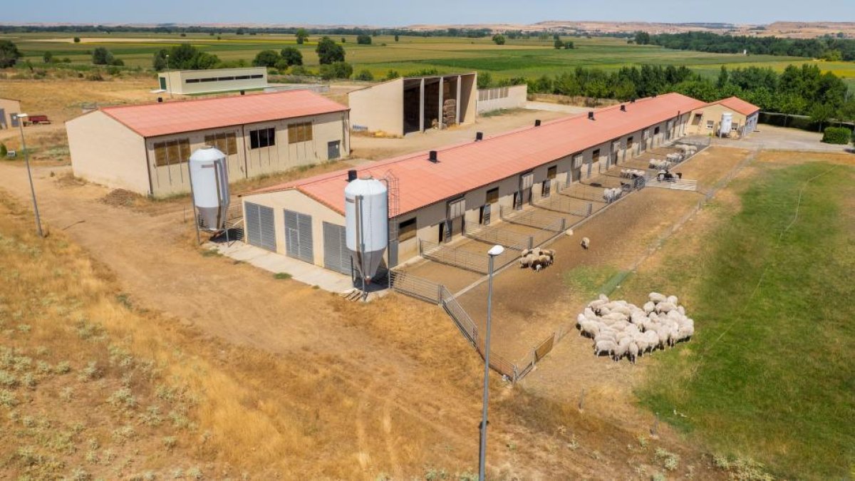 Imagen área del Centro de Selección y Mejora Genética de Ovino y Caprino de Castilla y León en Toro (Zamora).-E.M.