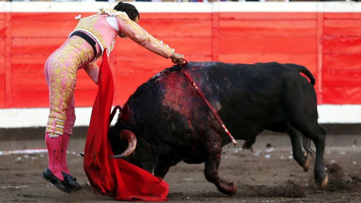 Buena estocada de Iván Fandiño al segundo toro de Bañuelos.-APLAUSOS
