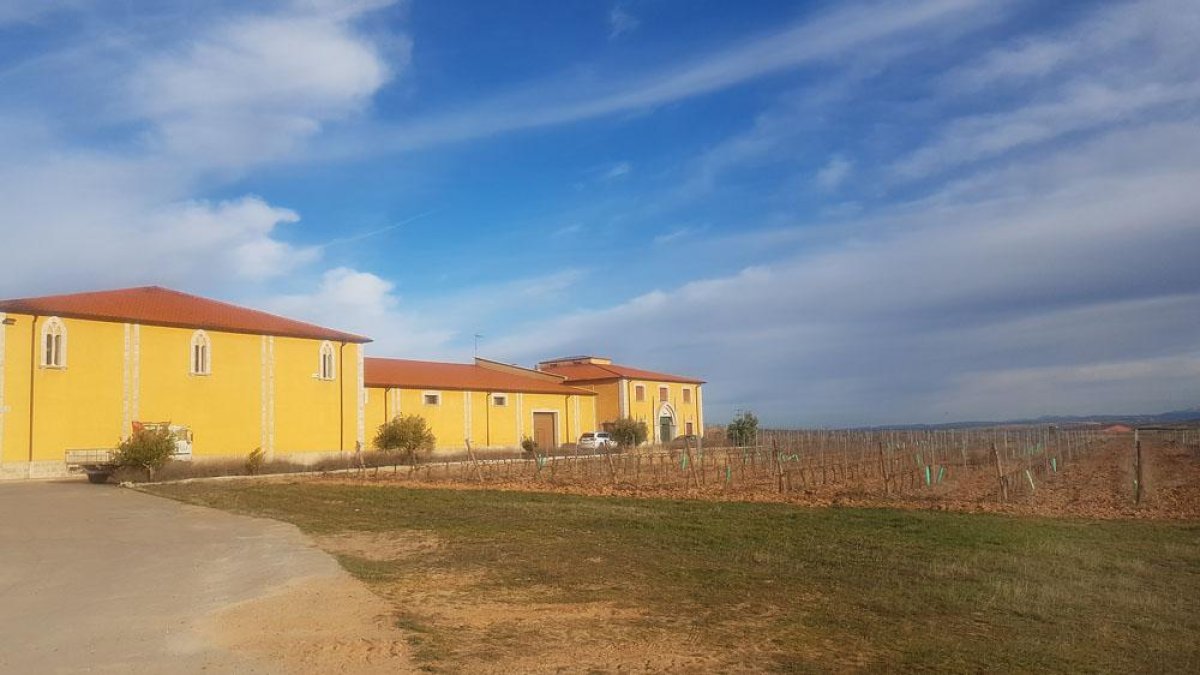 La bodega se encuentra en el término burgalés de Roa.-ECB