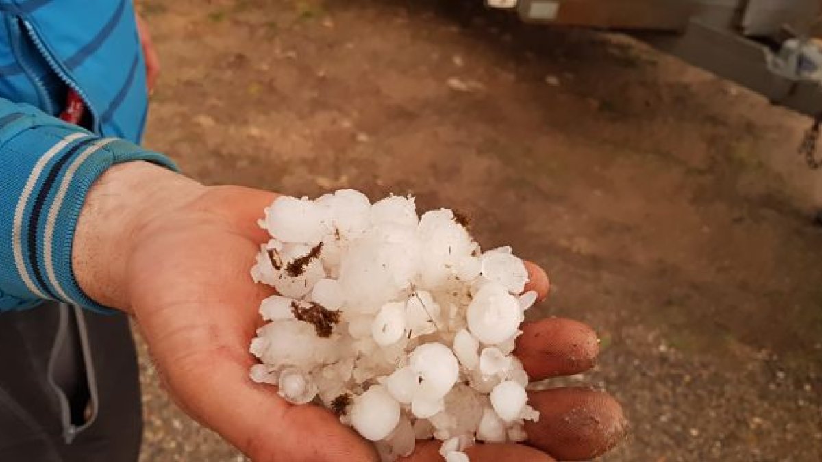 Pedrisco recogido en una explotación agraria de la comarca. L. V.