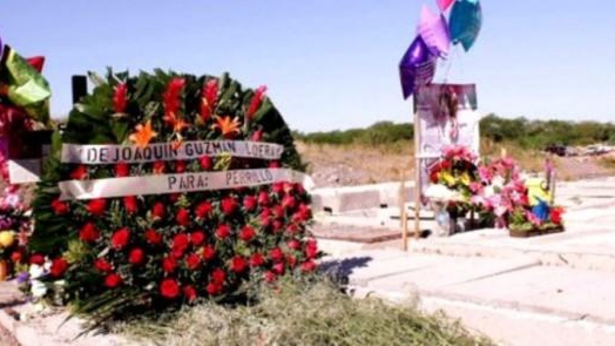 Ofrenda floral dejada a nombre de el 'chapo' Guzmán en la tumba de un narcotraficante amigo.-JUAN CARLOS CRUZ / SEMANARIO PROCESO