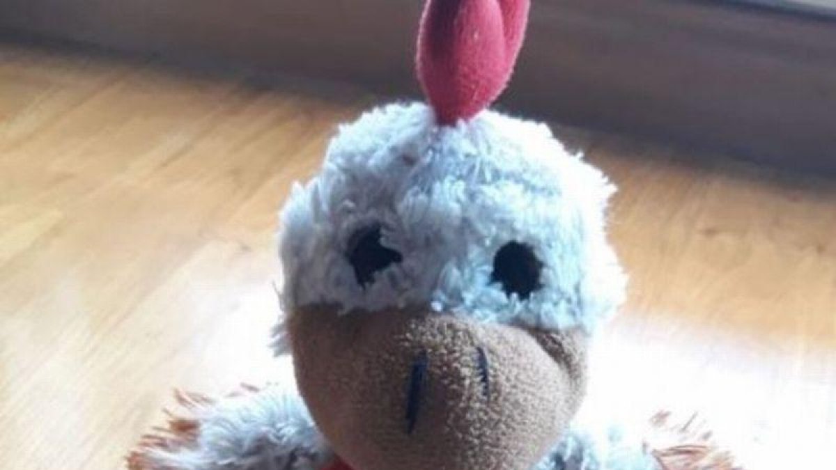 Peluche perdido-SERVICIO ESPECIAL