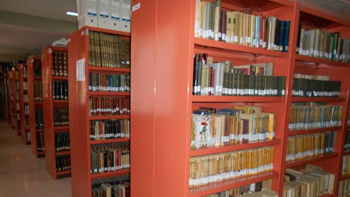 La biblioteca de Aranda cuenta con 100.000 libros.-L. V.