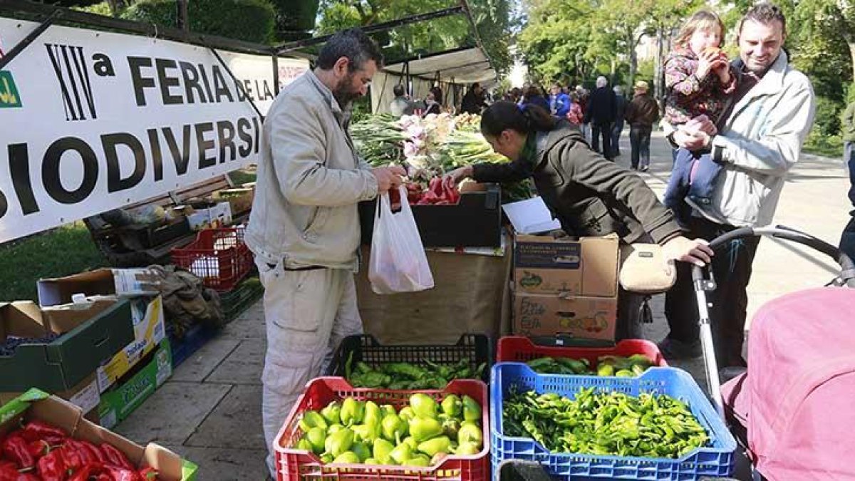Muchas familias aprovecharon el buen tiempo para hacer compras saludables gracias a esta feria organizada por UCCL.-RAÚL G. OCHOA