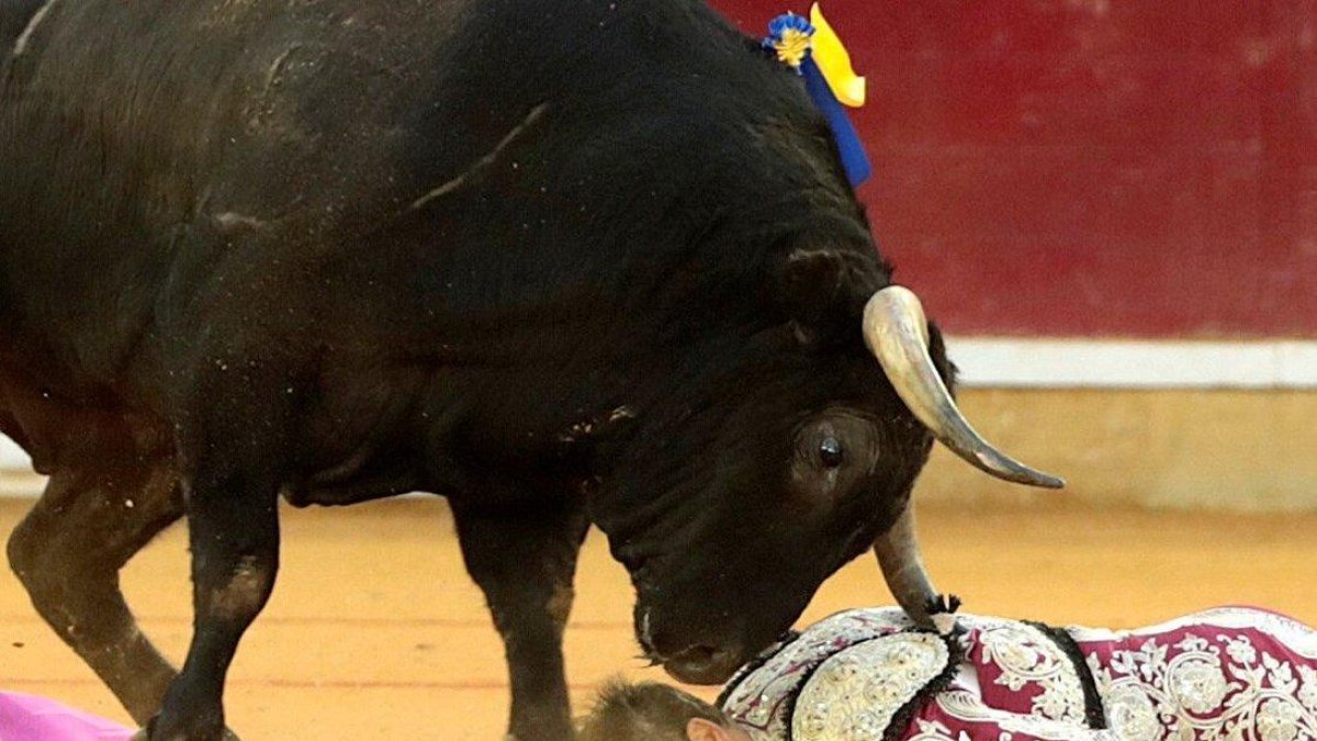 Cogida del banderillero Mariano de la Viña durante la faena de Enrique Ponce EN zARAGOZA.-EFE