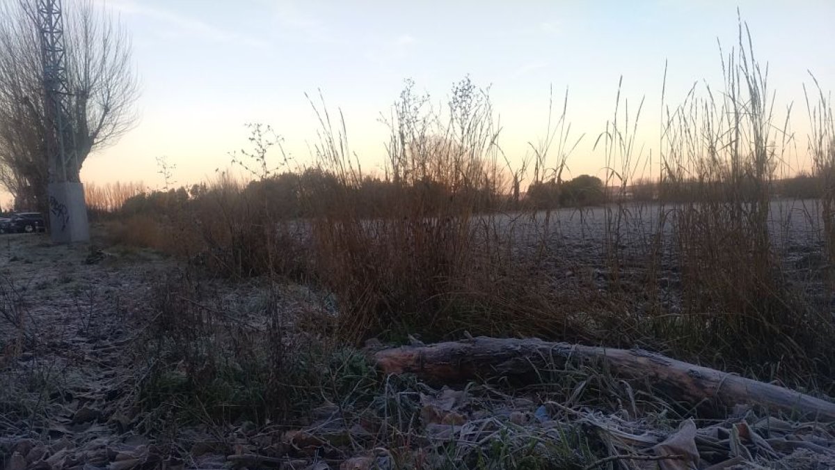 Campos cubiertos por una helada. L. G. L.