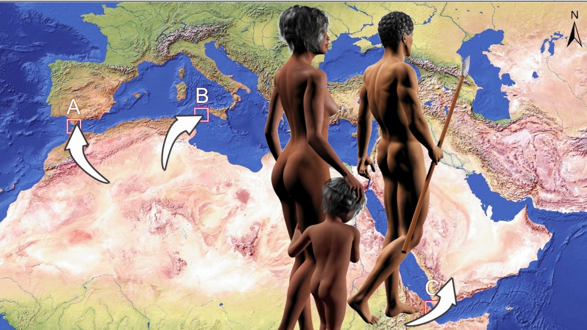 El estudio analiza la posible salida de África a través de los estrechos de Gibraltar, Sicilia y Bab-al-Mandab usando un modelo. CENIEH computacional