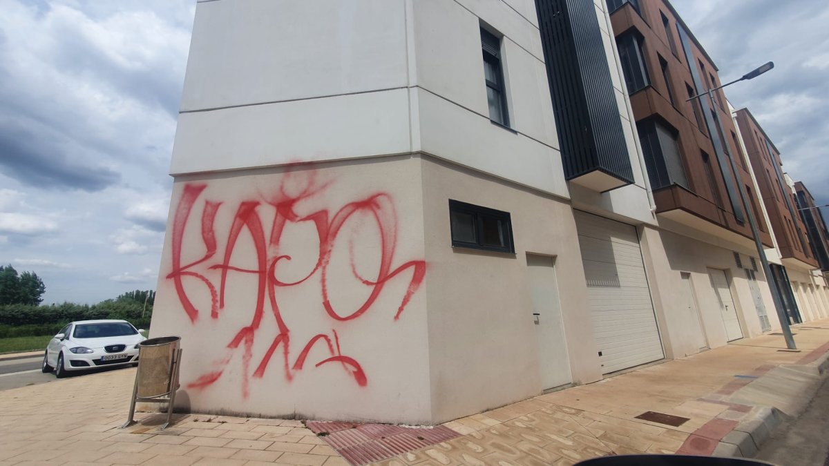En el borrador del nuevo presupuesto no hay partida extraordinaria para la limpieza de grafitis