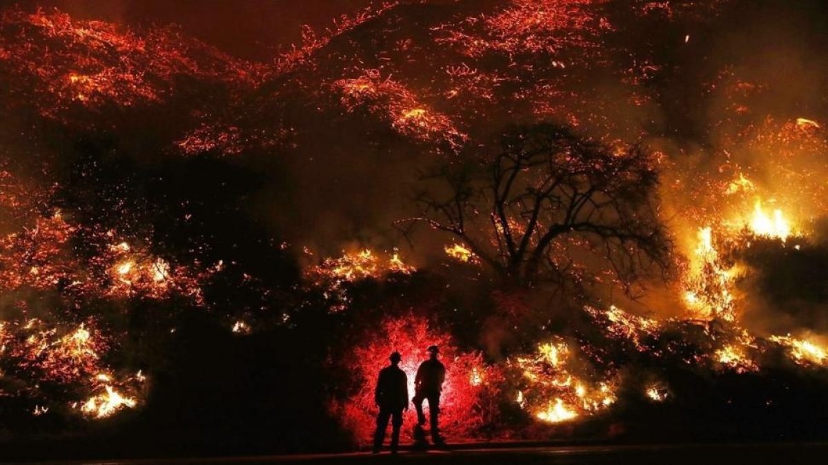 Llamas en el norte de Ventura (California).-MARIO TAMA