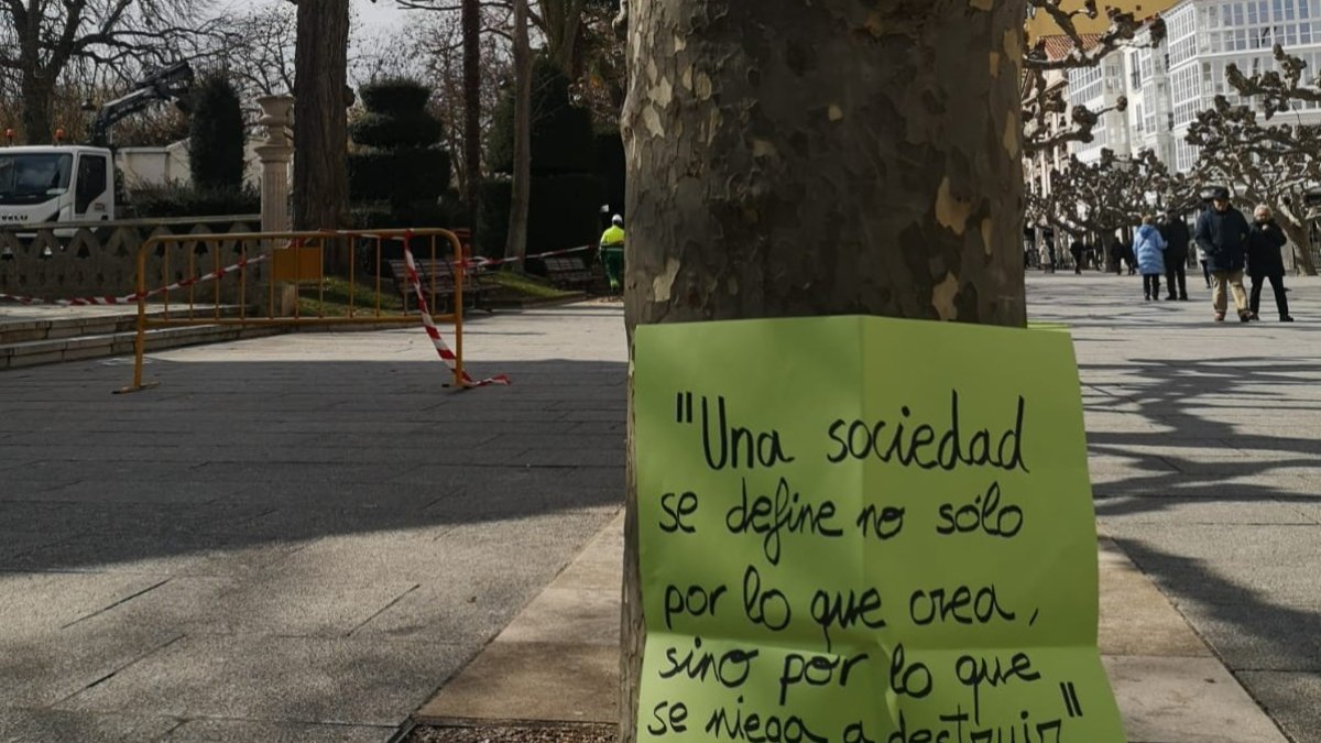 Uno de los carteles colocados sobre las acacias. ECB