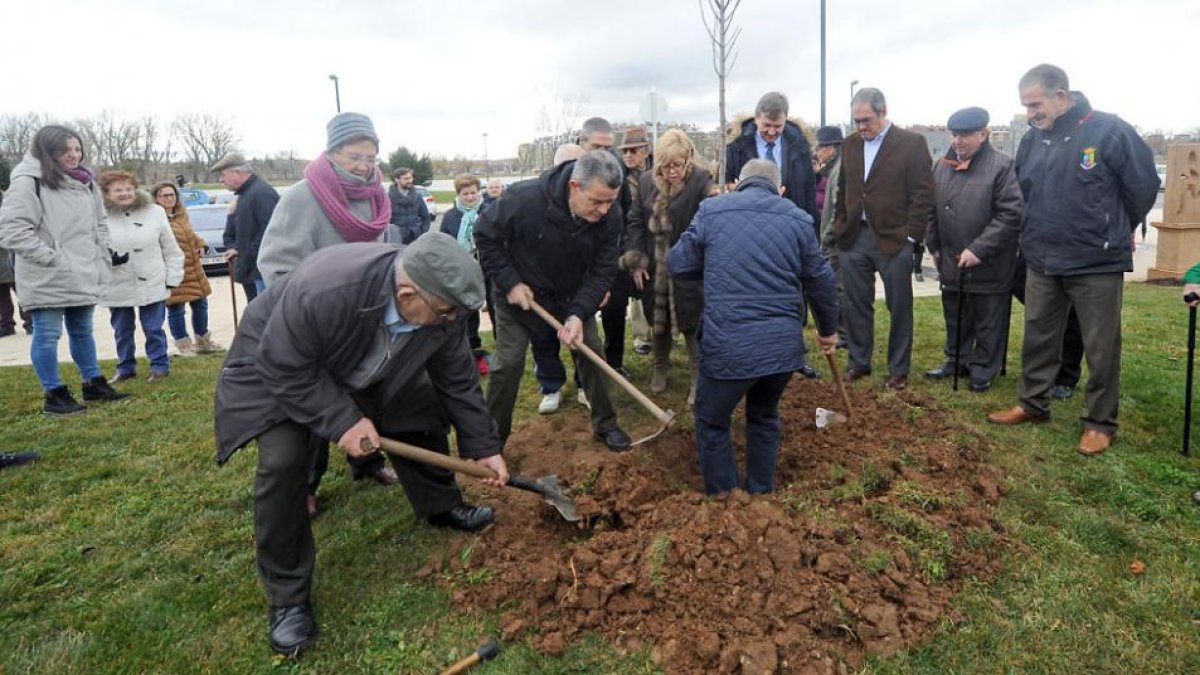 Miembros de la asociación celebran el Día Mundial del Parkinson plantando árboles con motivo de la campaña ‘Un árbol por el Parkinson’.-ISRAEL L. MURILLO