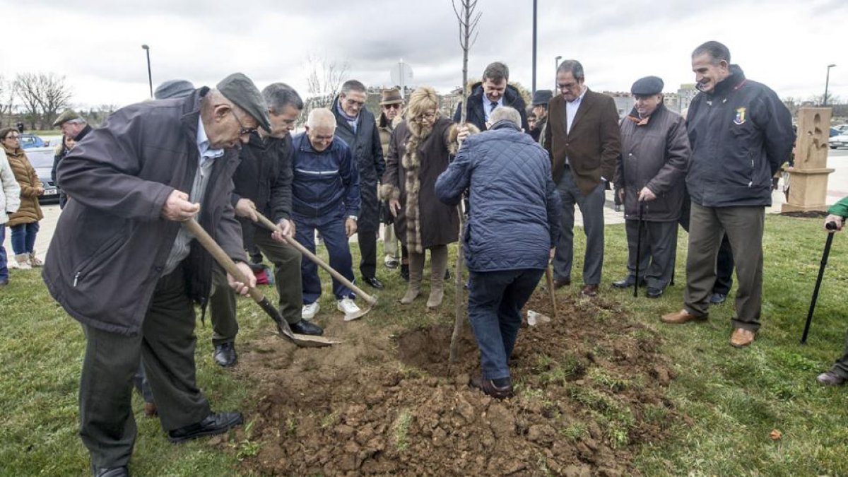 Las autoridades asisten a la colocación del primero de los 16 arces que ayer se plantaron en el parque Juan Pablo II.-ISRAEL L. MURILLO