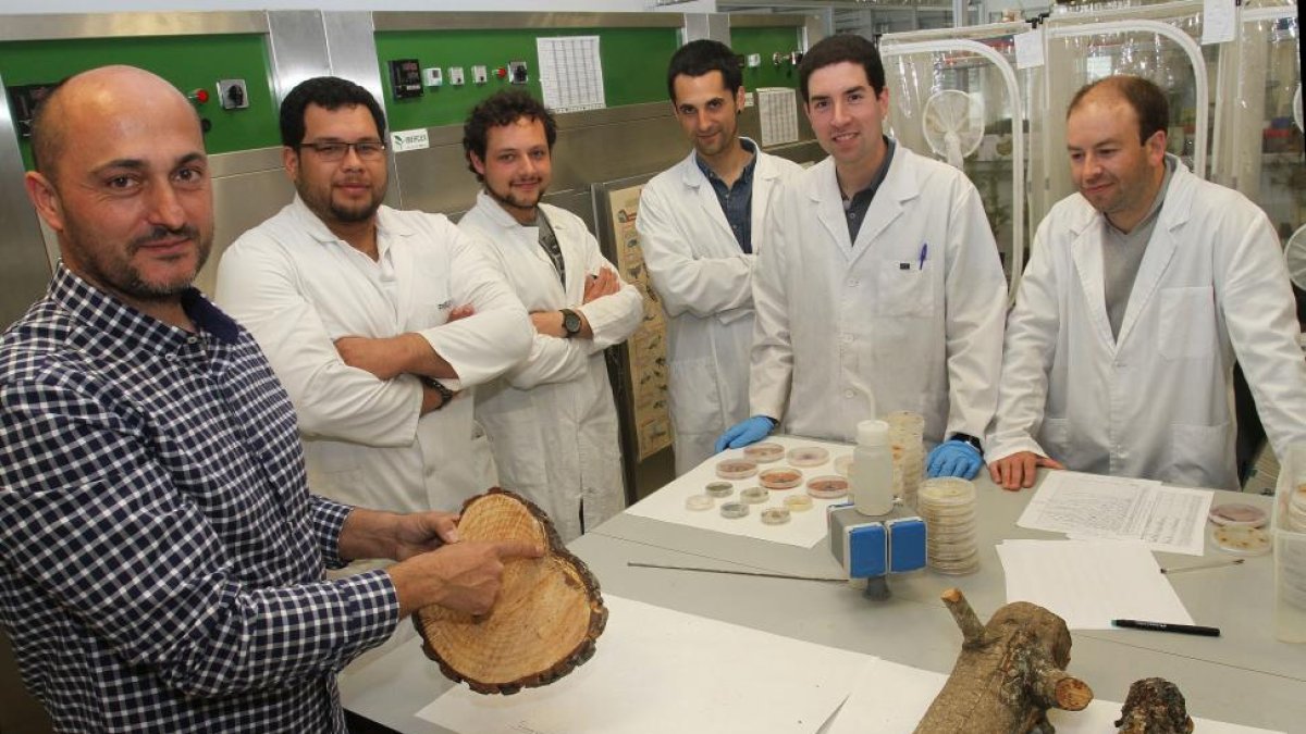 Miembros del grupo de investigación que lidera el proyecto para salvar los pinares.-MANUEL BRÁGIMO