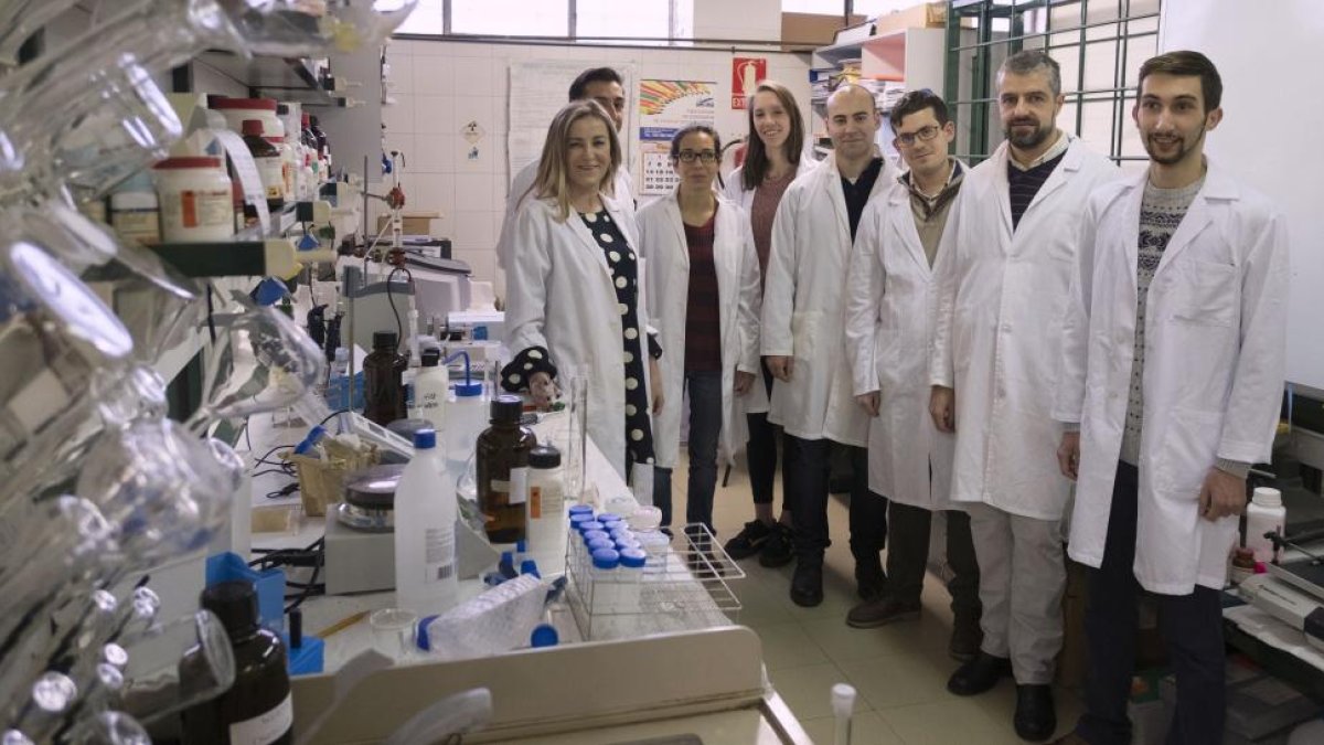 Equipo de trabajo de la Universidad de Salamanca que lidera Eva Martín del Valle.-ENRIQUE CARRASCAL