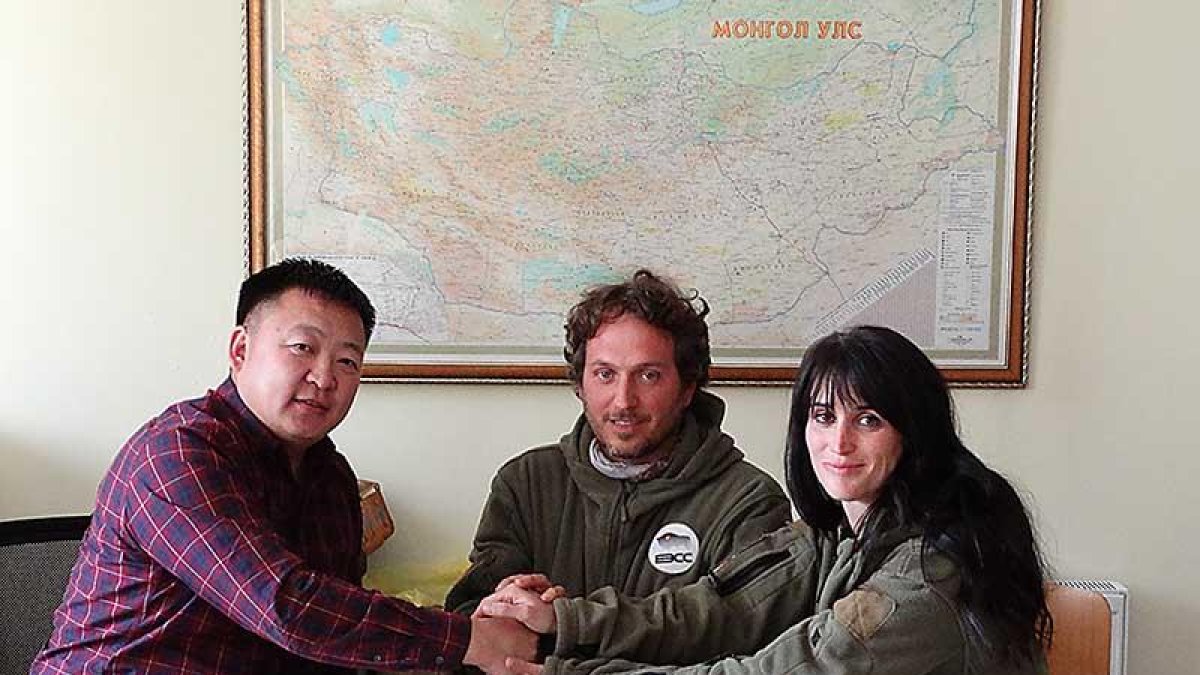 Cerdá (c.) ha cerrado acuerdos para intercambiar datos del cuidado del przewalski, del que hay 6 ejemplares en Burgos.-ECB