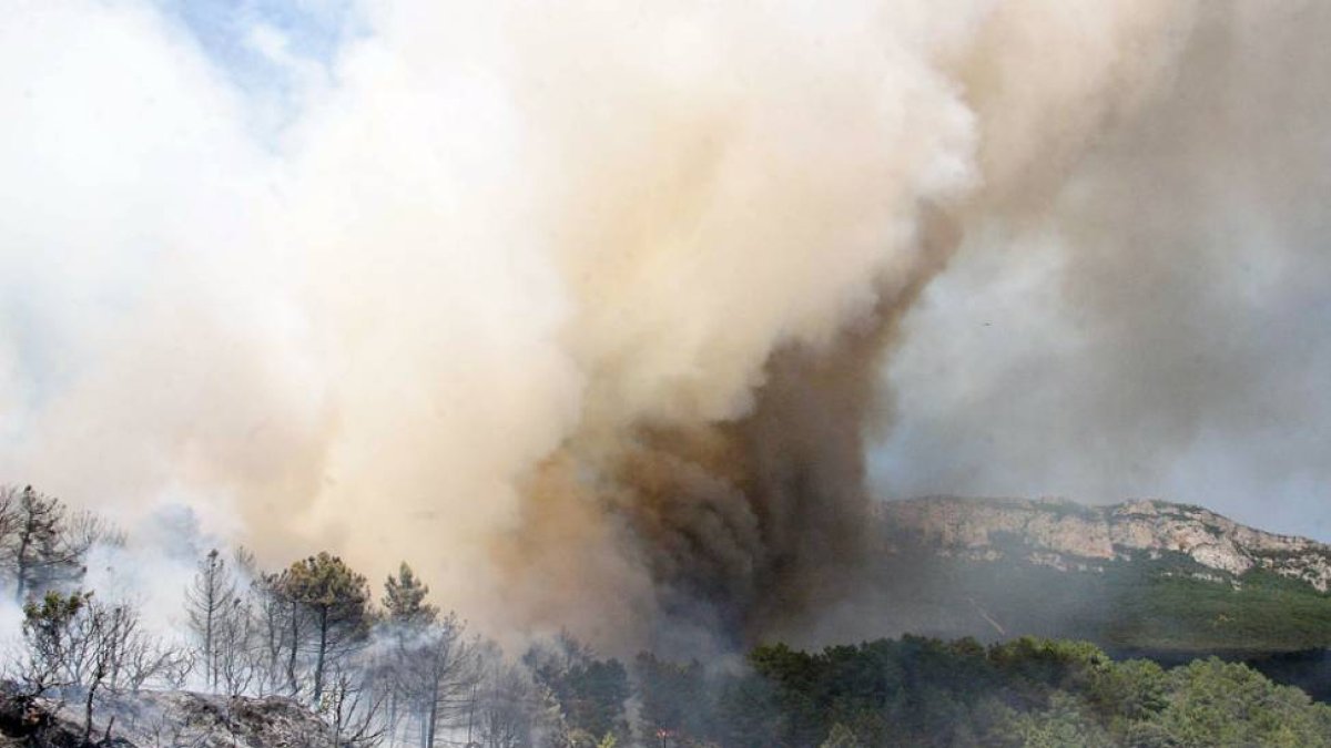 La columna de humo se puede ver desde diferentes puntos de la provincia.-G. González