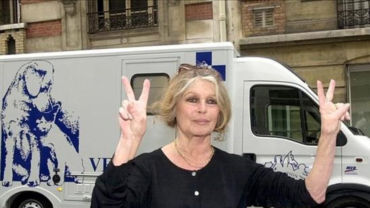 Brigitte Bardot, en una imagen del 2002, ejerciendo de activista por los derechos de los animanles en París.-AP / JACQUES BRINON