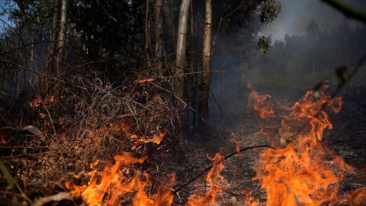 Los incendios forestales suponen una amenaza constante de vulneración de derechos humanos.-EFE