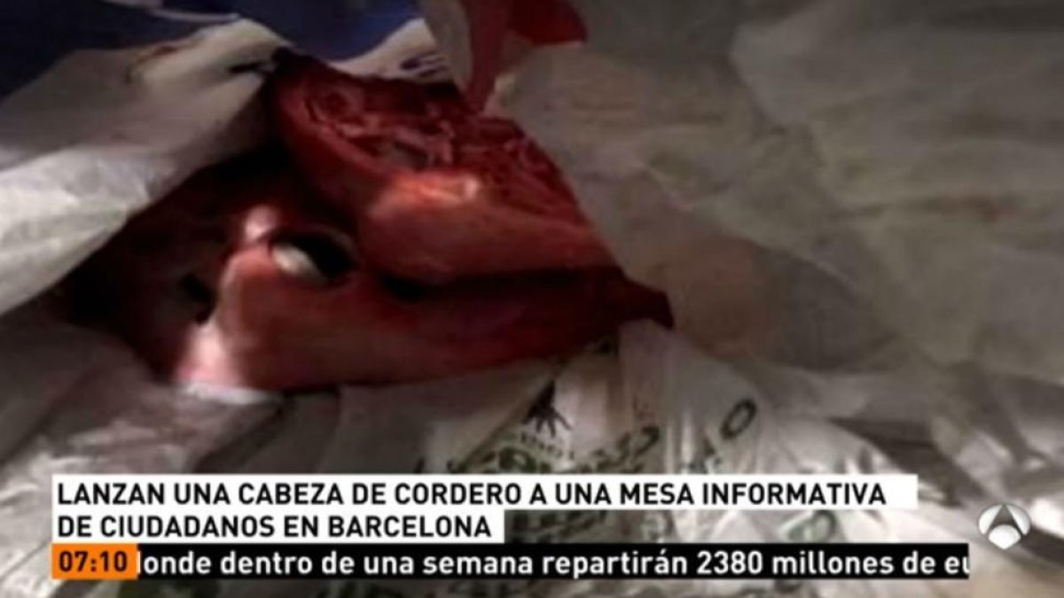 Imagen de la cabeza de cordero depositada sobre una mesa informativa de Ciutadans.-/ ANTENA 3 TV