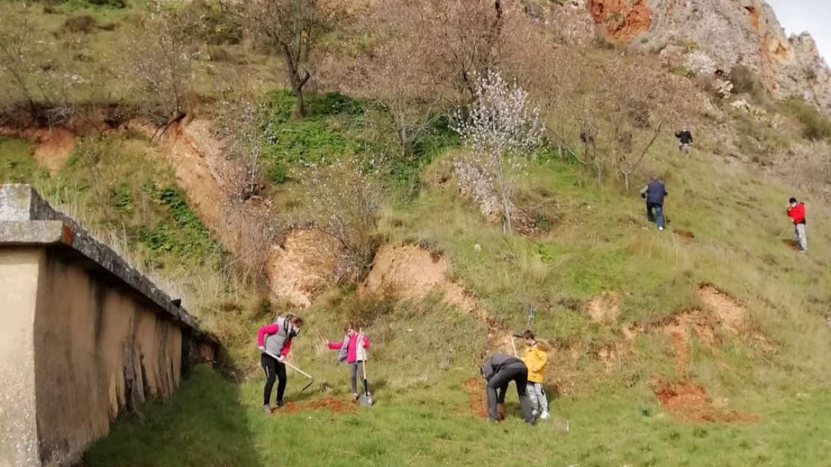 Imagen de la plantación en recuerdo de Félix Rodríguez de la Fuente. ICAL