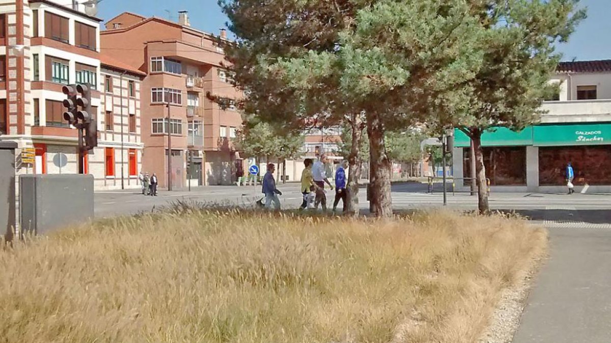Imagen tomada ayer en una zona ajardinada del bulevar de la capital burgalesa.-ECB