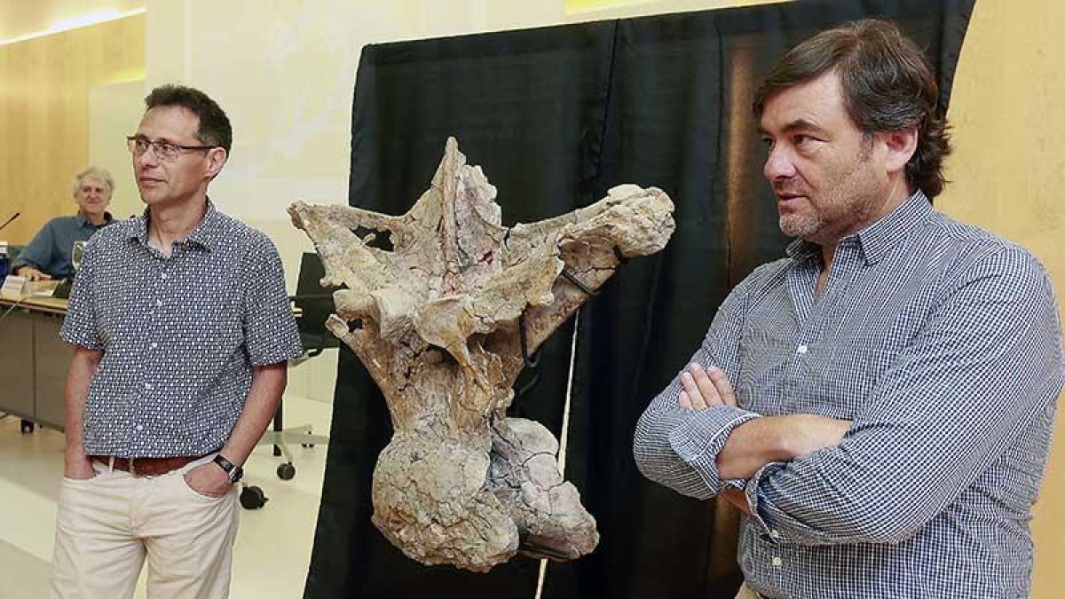 Torcida (izq.) y Canudo (dch.) posan junto a una vértebra dorsal del gran dinosaurio, ante la mirada del director científico del MEH, Juan Luis Arsuaga (al fondo).-R.O.