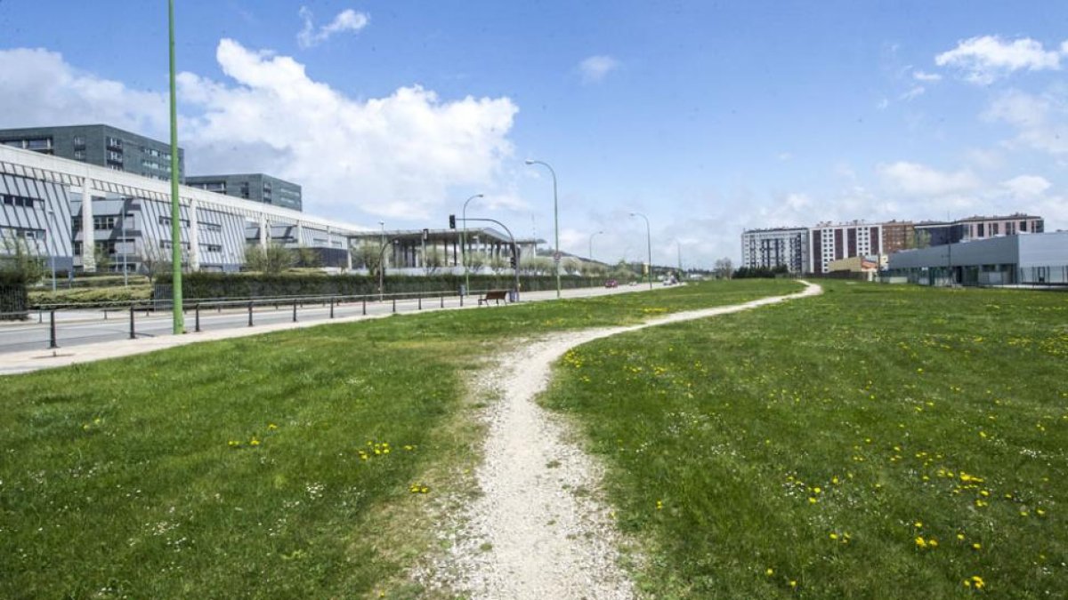 En las cercanías del hospital el carril bici transitará por la parcela verde paralela al Talamillo y junto a la acera.-ISRAEL L. MURILLO