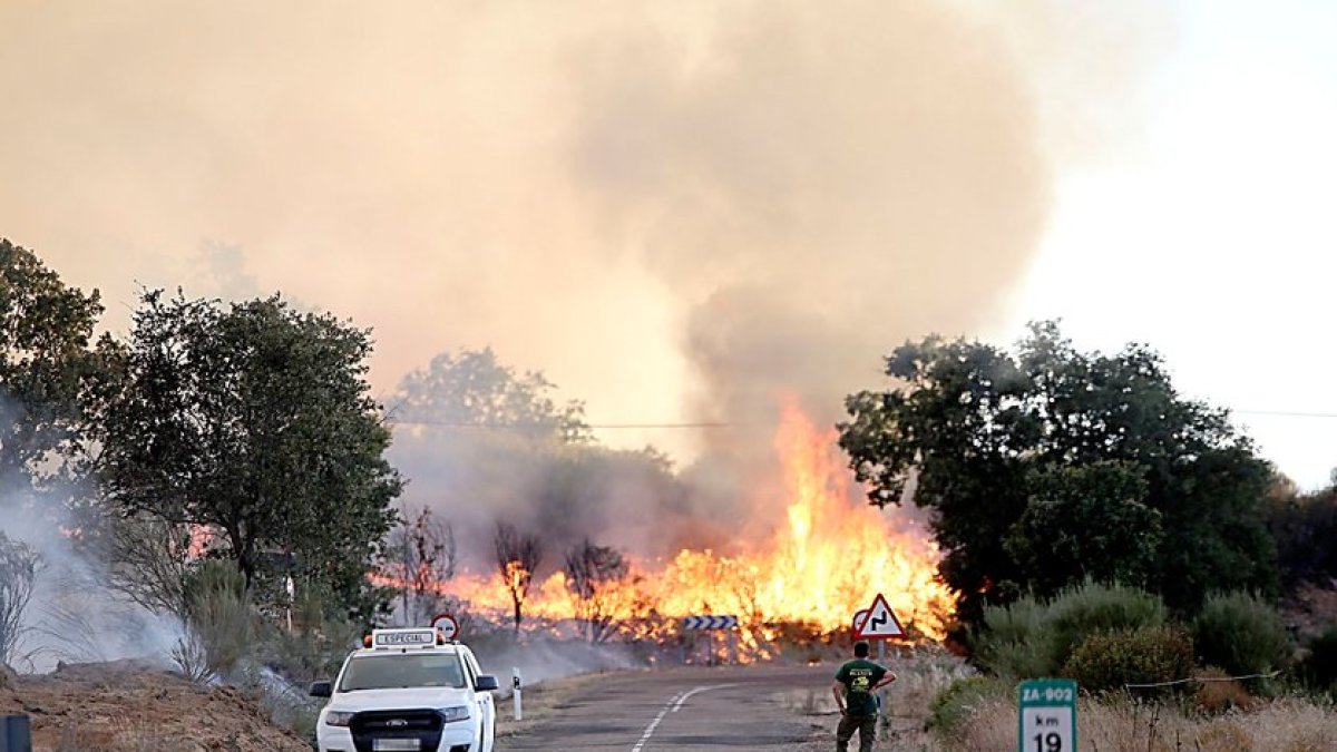 Incendio forestal en la localidad zamorana de Losacio, el pasado julio.- ICAL
