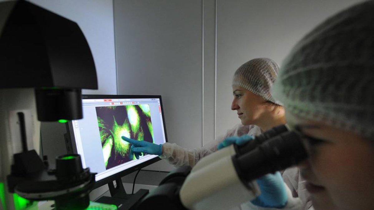 Dos investigadoras trabajan con el microscopio de fluorescencia.-ISRAEL L. MURILLO