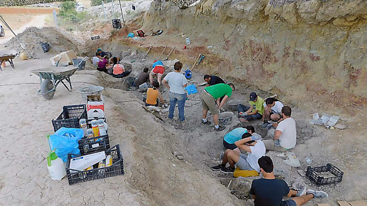 YACIMIENTO DE DINOSAURIOS EN TORRELARA.