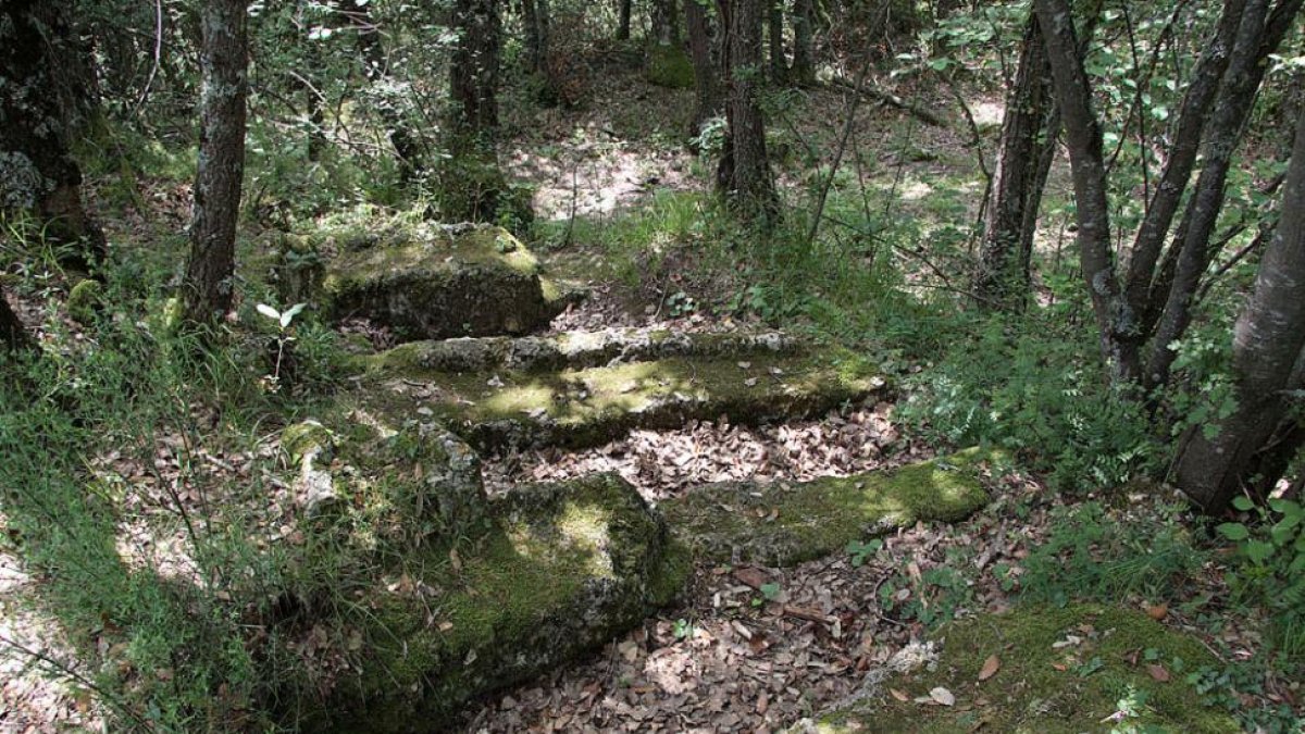 Zona boscosa en los Montes Obarenes. G. GONZÁLEZ