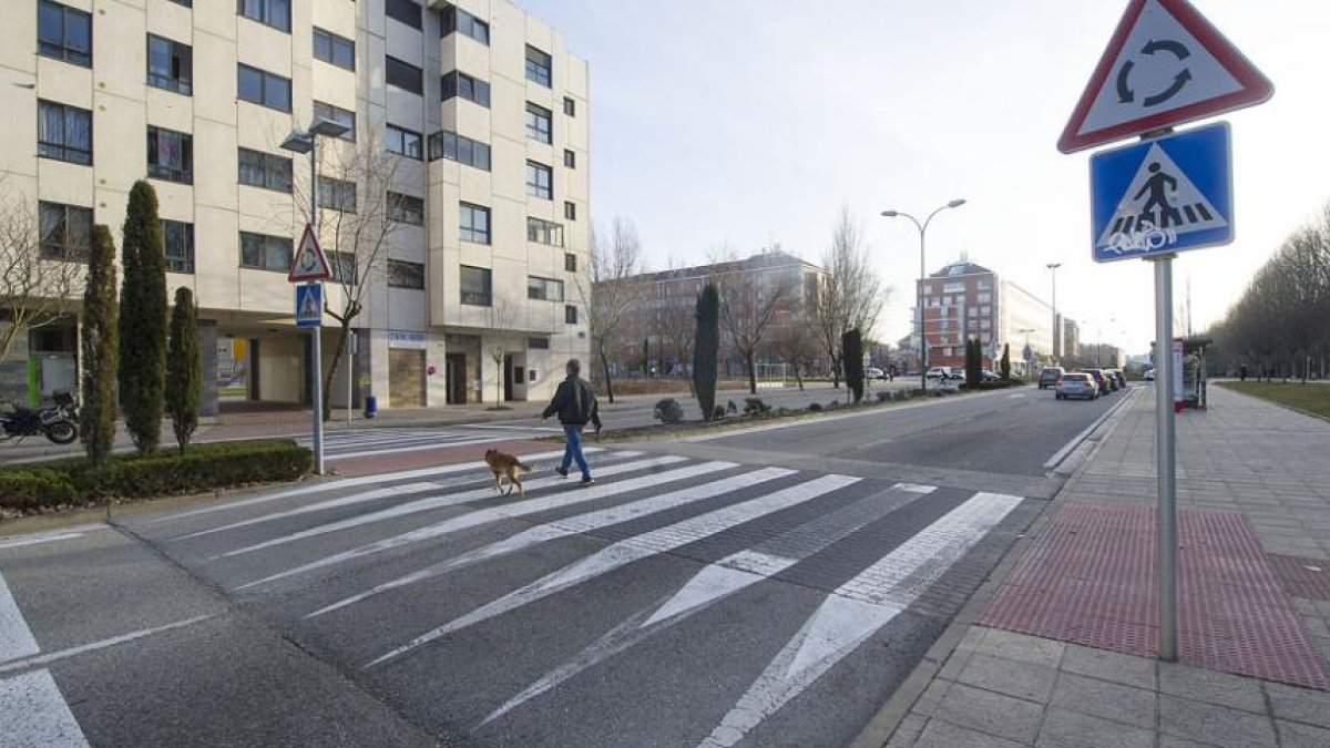Un peatón cruza con su perro por uno de los pasos elevados ubicados en este caso en la avenida Castilla y León.-ISRAEL L. MURILLO