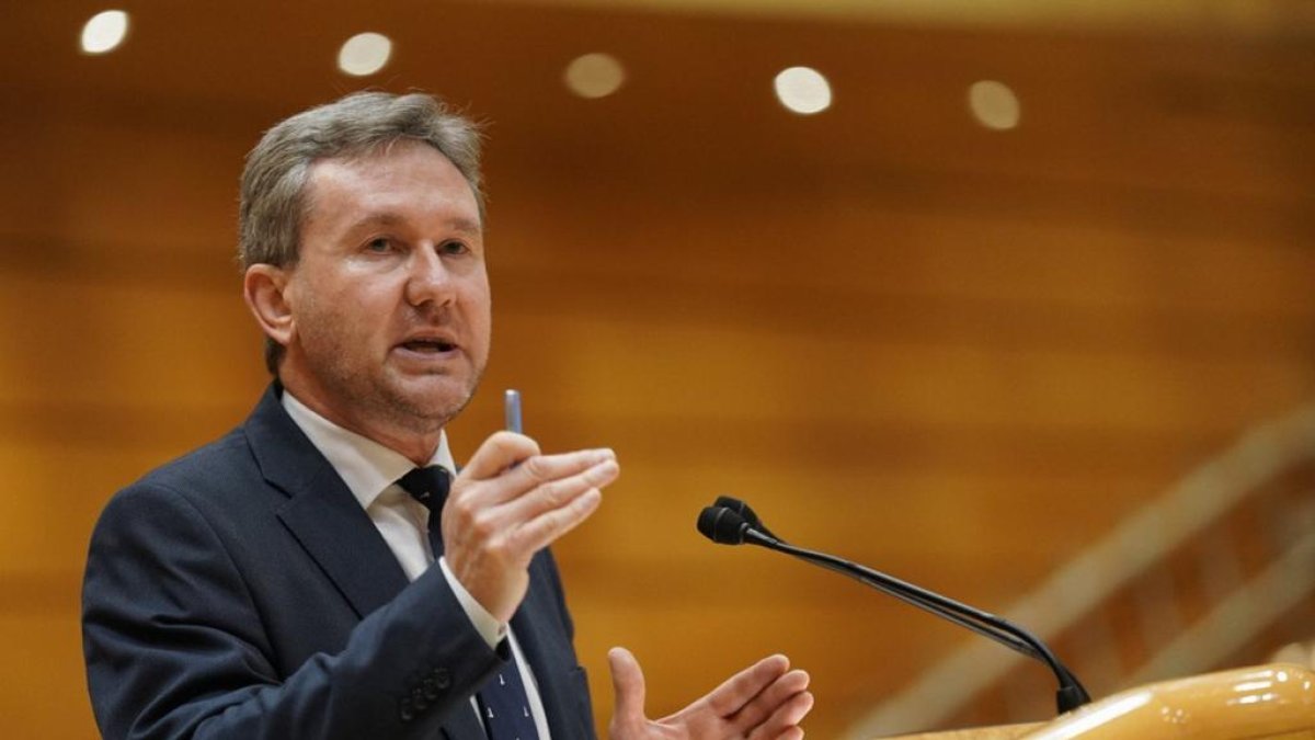Javier Lacalle, durante su intervención en el Senado. ECB
