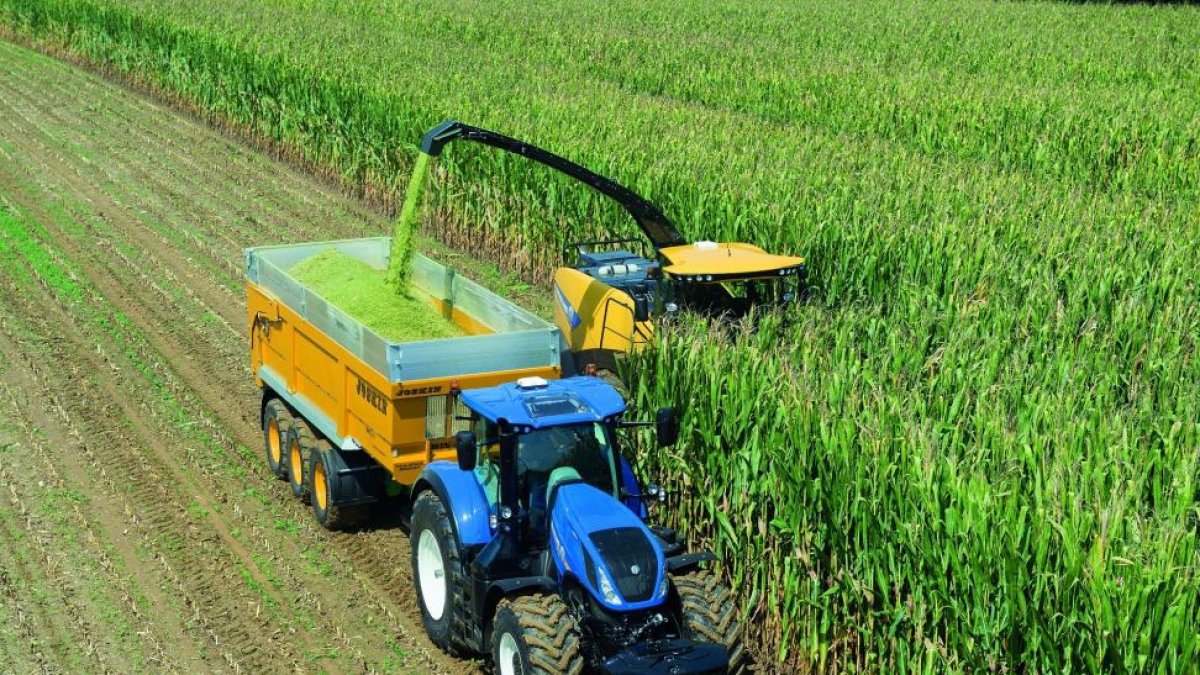 La picadora de forrajes de New Holland realiza labores en una parcela.-n.h.