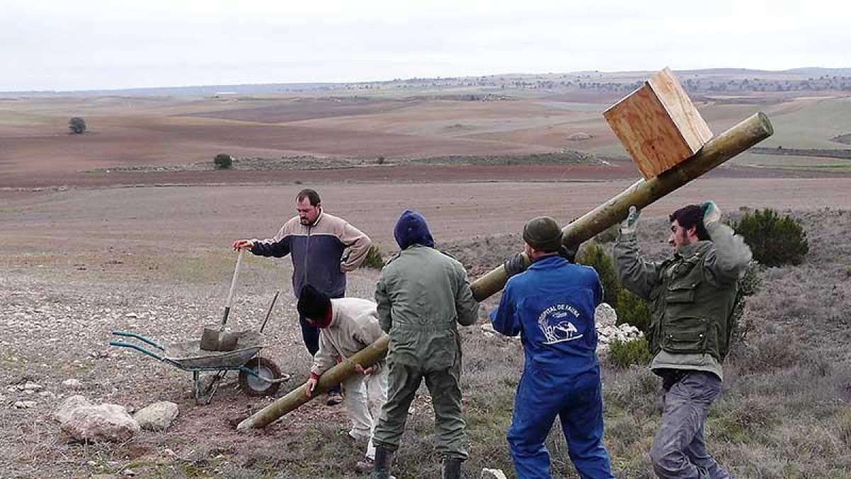 Voluntarios de Grefa colocan una caja nido en una zona de cultivo agrícola.-GREFA
