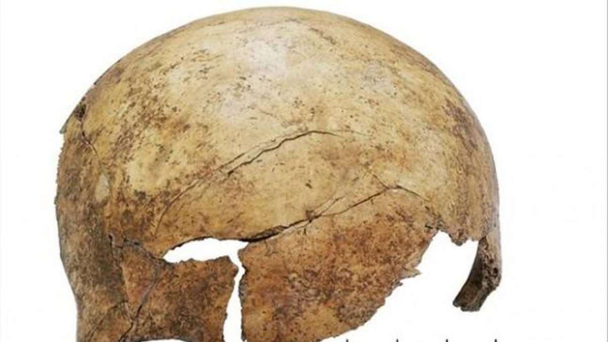 Cráneo de un niño encontrado en el yacimiento paleolítico de Schöneck-Kilianstädten, en Alemania, con restos evidentes de haber sido golpeado violentamente.-Foto: PNAS