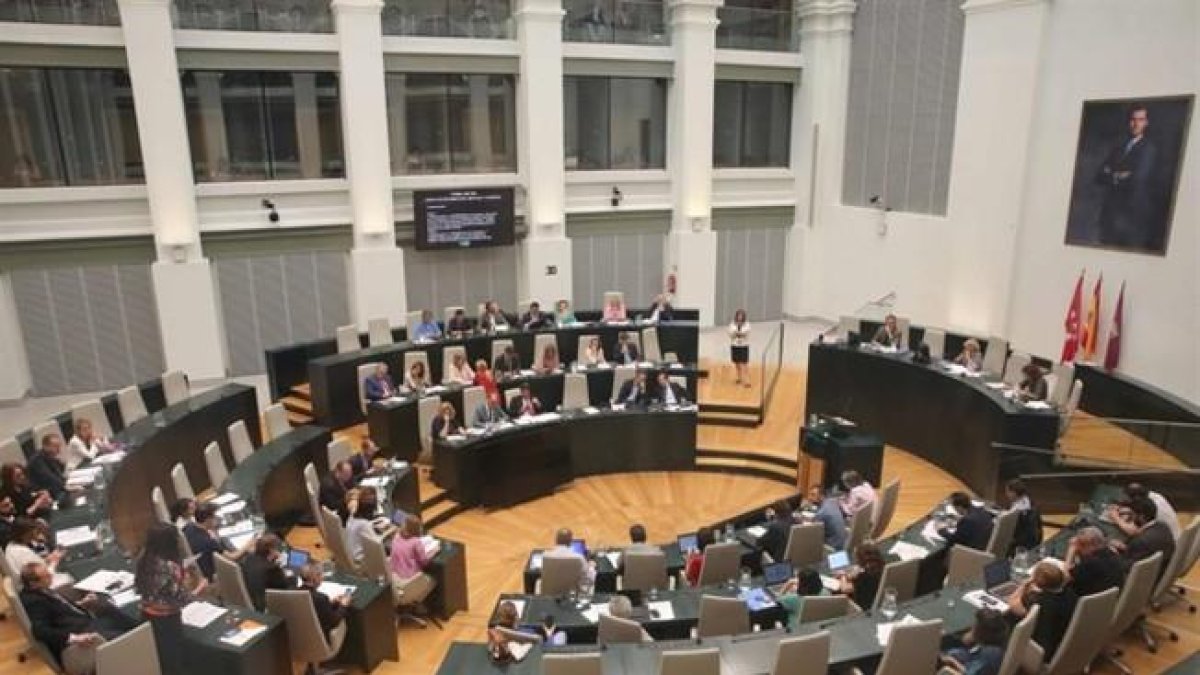 La Asamblea de Madrid.-